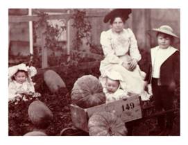 South Perth Pumpkins - Tom Shaw and Felsteads